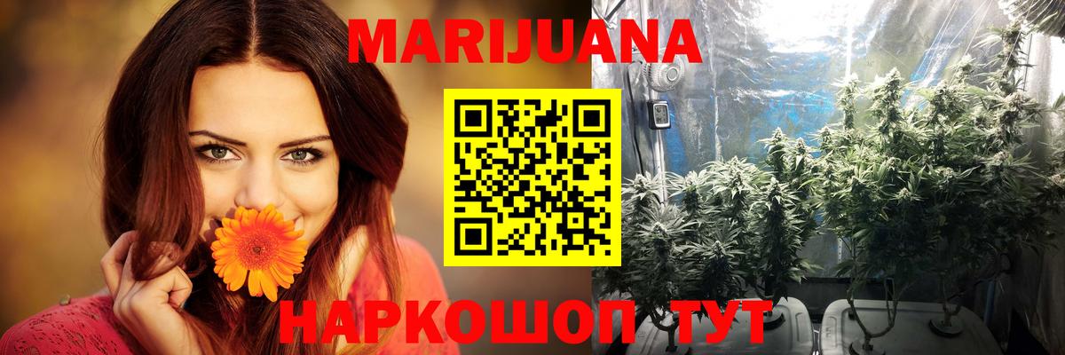 Клинцы  Канабис Amnesia  Вход с VPN  Бошки Шишки гибрид  Канабис AK-47 